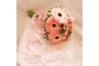 Букет невесты из розовых гербер