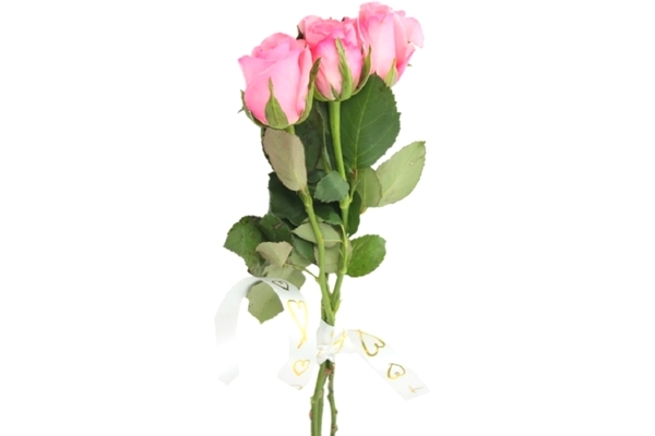 Букет из 3 розовых роз 